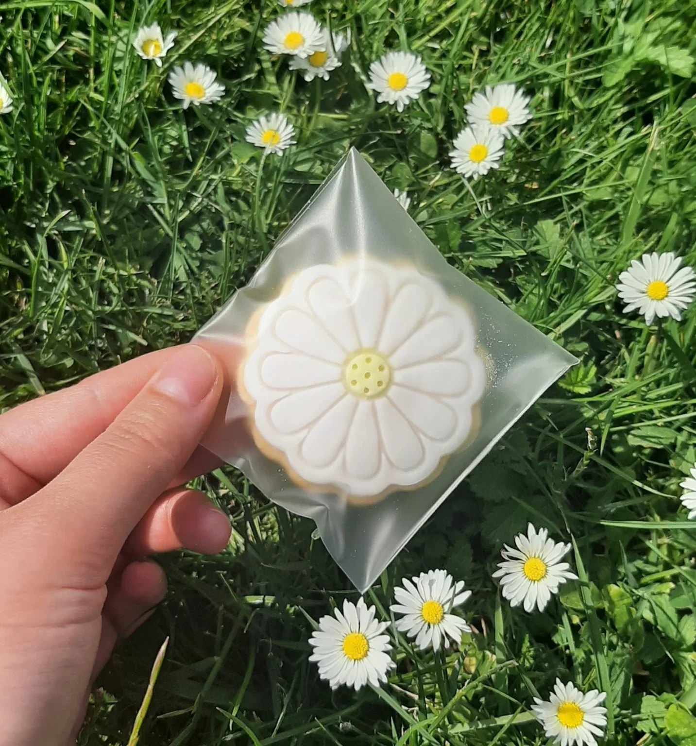 curradine barns blog favours spring biscuit